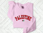 Palestine Crewneck Sweatshirt, Palestine Flag Printed Sweater, Support Palestine Freedom Gaza Protest Top, Palestinian Shirt, Comfy Jumper