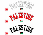 Palestine Sweater, Palestine Flag Printed Crewneck Sweatshirt, Support Palestine Freedom Gaza Protest Top, Palestinian Shirt, Comfy Jumper