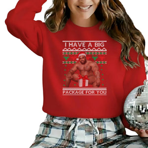 I have a big package for you Christmas Sweatshirt P9017