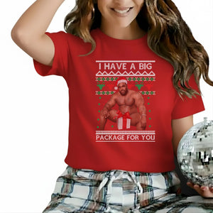 I Have A Big Package For You  Christmas T-Shirt - p9017