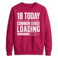 18 Today Common Sense Loading 18th Birthday Unisex Sweatshirt