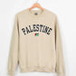 Palestine Sweater, Palestine Flag Printed Crewneck Sweatshirt, Support Palestine Freedom Gaza Protest Top, Palestinian Shirt, Comfy Jumper