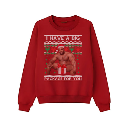 I have a big package for you Christmas Sweatshirt P9017