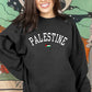 Palestine Sweater, Palestine Flag Printed Crewneck Sweatshirt, Support Palestine Freedom Gaza Protest Top, Palestinian Shirt, Comfy Jumper