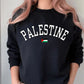 Palestine Sweater, Palestine Flag Printed Crewneck Sweatshirt, Support Palestine Freedom Gaza Protest Top, Palestinian Shirt, Comfy Jumper