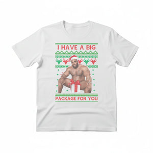 I Have A Big Package For You  Christmas T-Shirt - p9017