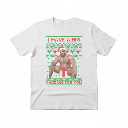I Have A Big Package For You  Christmas T-Shirt - p9017
