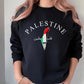 Palestine Sweatshirt, Free Palestine Flag Printed Sweater, Support Save Gaza Protest Save Palestine Clothing, Human Rights Freedom Jumper