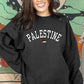 Palestine Crewneck Sweatshirt, Palestine Flag Printed Sweater, Support Palestine Freedom Gaza Protest Top, Palestinian Shirt, Comfy Jumper