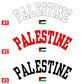 Palestine Crewneck Sweatshirt, Palestine Flag Printed Sweater, Support Palestine Freedom Gaza Protest Top, Palestinian Shirt, Comfy Jumper
