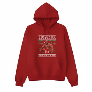 I have a big package for you Christmas Hoodie - P9017