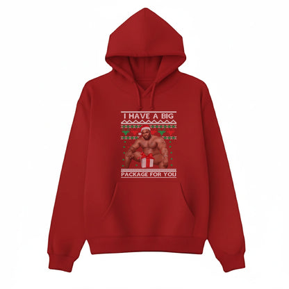 I have a big package for you Christmas Hoodie - P9017