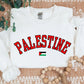 Palestine Sweater, Palestine Flag Printed Crewneck Sweatshirt, Support Palestine Freedom Gaza Protest Top, Palestinian Shirt, Comfy Jumper