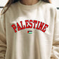 Palestine Crewneck Sweatshirt, Palestine Flag Printed Sweater, Support Palestine Freedom Gaza Protest Top, Palestinian Shirt, Comfy Jumper