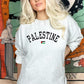 Palestine Crewneck Sweatshirt, Palestine Flag Printed Sweater, Support Palestine Freedom Gaza Protest Top, Palestinian Shirt, Comfy Jumper
