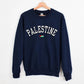Palestine Sweater, Palestine Flag Printed Crewneck Sweatshirt, Support Palestine Freedom Gaza Protest Top, Palestinian Shirt, Comfy Jumper
