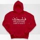 Palestine Hoodie, Embroidered Palestine Coordinates Hooded Sweatshirt, Support Palestine Save Gaza Freedom Jumper, Palestine Protest Tops