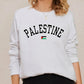 Palestine Sweater, Palestine Flag Printed Crewneck Sweatshirt, Support Palestine Freedom Gaza Protest Top, Palestinian Shirt, Comfy Jumper