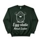 Egg Static About Easter Printed Sweatshirt - PW604