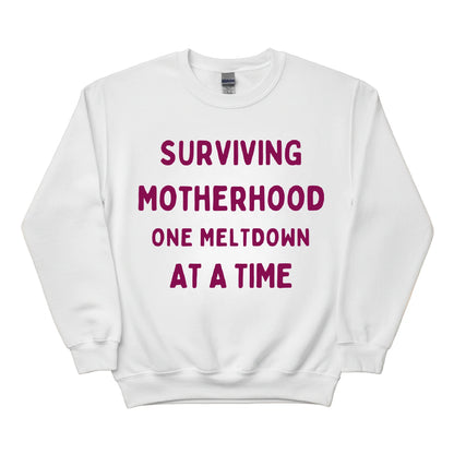 Surviving Motherhood Printed Mother's Day Sweatshirt - PW555