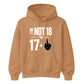 Funny Birthday Unisex Hoodie Not 18 I'm 17+