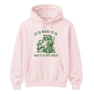 It Is What It Is Raccoon Funny Slogan Unisex Hoodie
