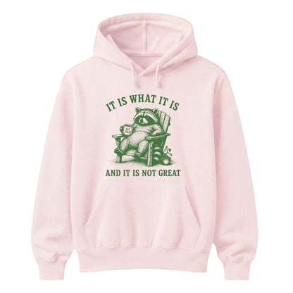 It Is What It Is Raccoon Funny Slogan Unisex Hoodie