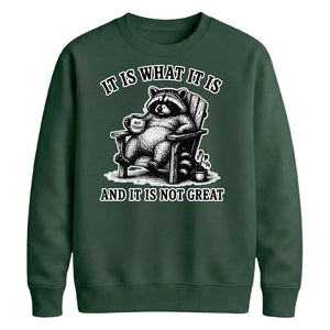 It Is What It Is Raccoon Funny Slogan Unisex Sweatshirt