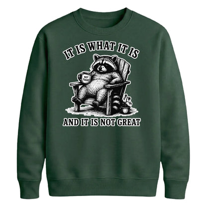 It Is What It Is Raccoon Funny Slogan Unisex Sweatshirt