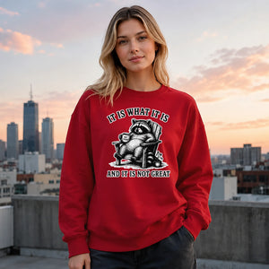It Is What It Is Raccoon Funny Slogan Unisex Sweatshirt