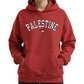 Palestine Hoodie – Strength of Unity Design, Inspired by Heritage