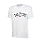 Palestine T-Shirt – Cultural Legacy Artwork, Strength in Simplicity