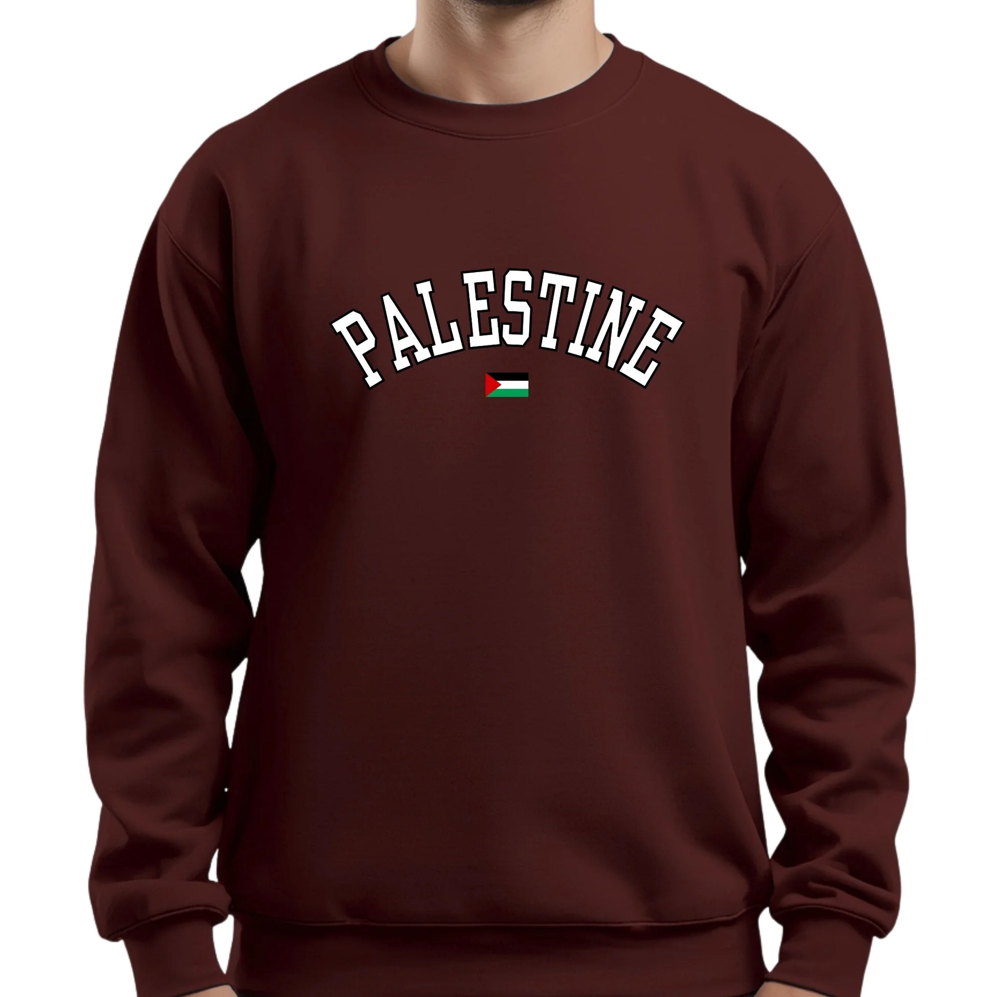 Palestine  Sweatshirt PW1012