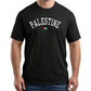 Palestine T-Shirt – Cultural Legacy Artwork, Strength in Simplicity