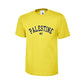 Palestine T-Shirt – Cultural Legacy Artwork, Strength in Simplicity