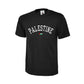 Palestine T-Shirt – Cultural Legacy Artwork, Strength in Simplicity