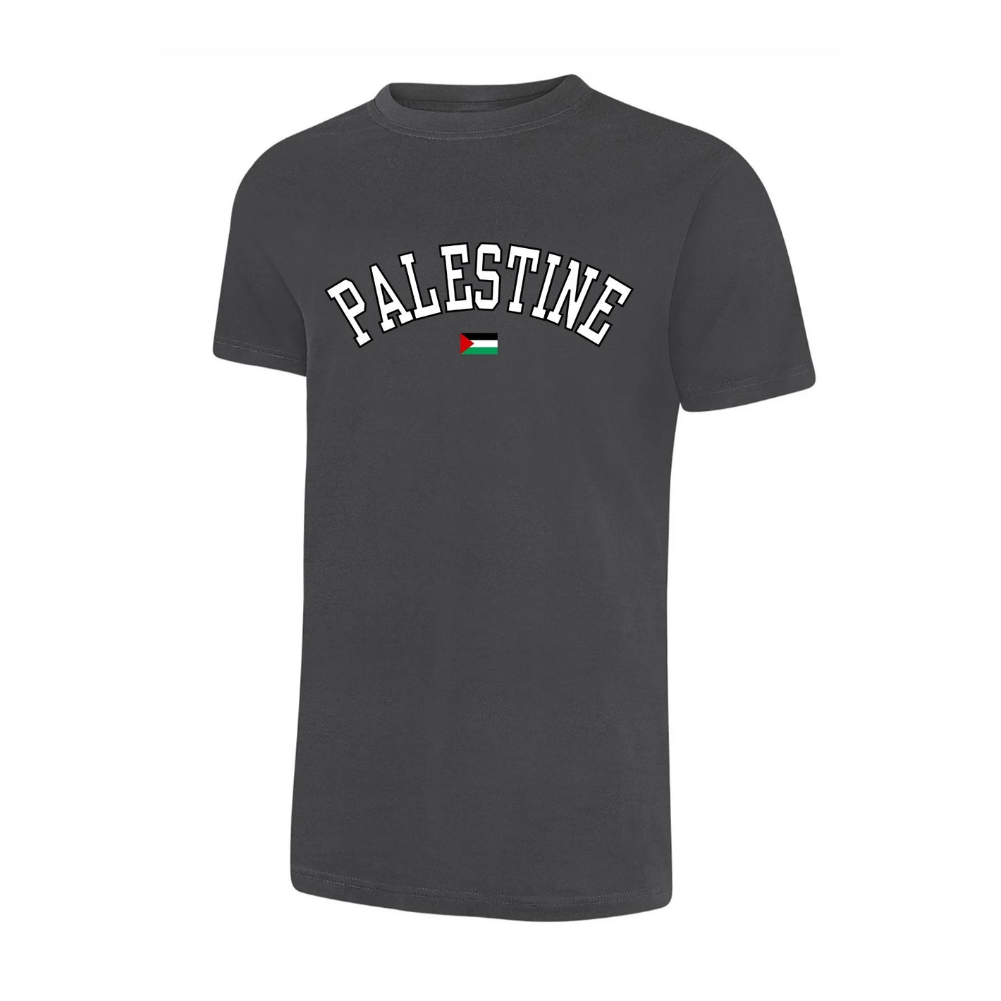 Palestine T-Shirt – Cultural Legacy Artwork, Strength in Simplicity