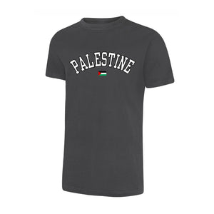 Palestine T-Shirt – Cultural Legacy Artwork, Strength in Simplicity
