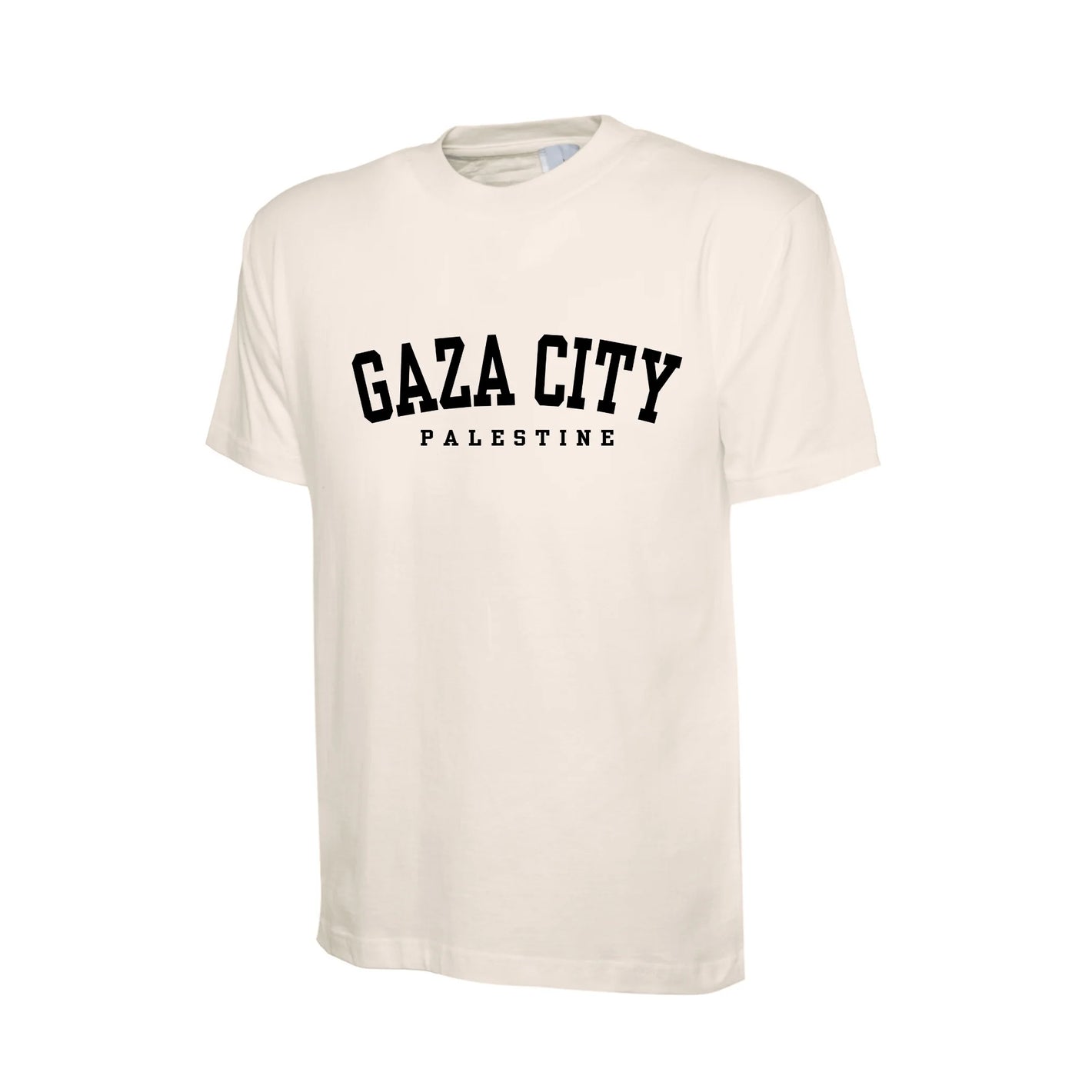 Palestine T-Shirt – Spirit of the Land, Freedom and Pride Edition
