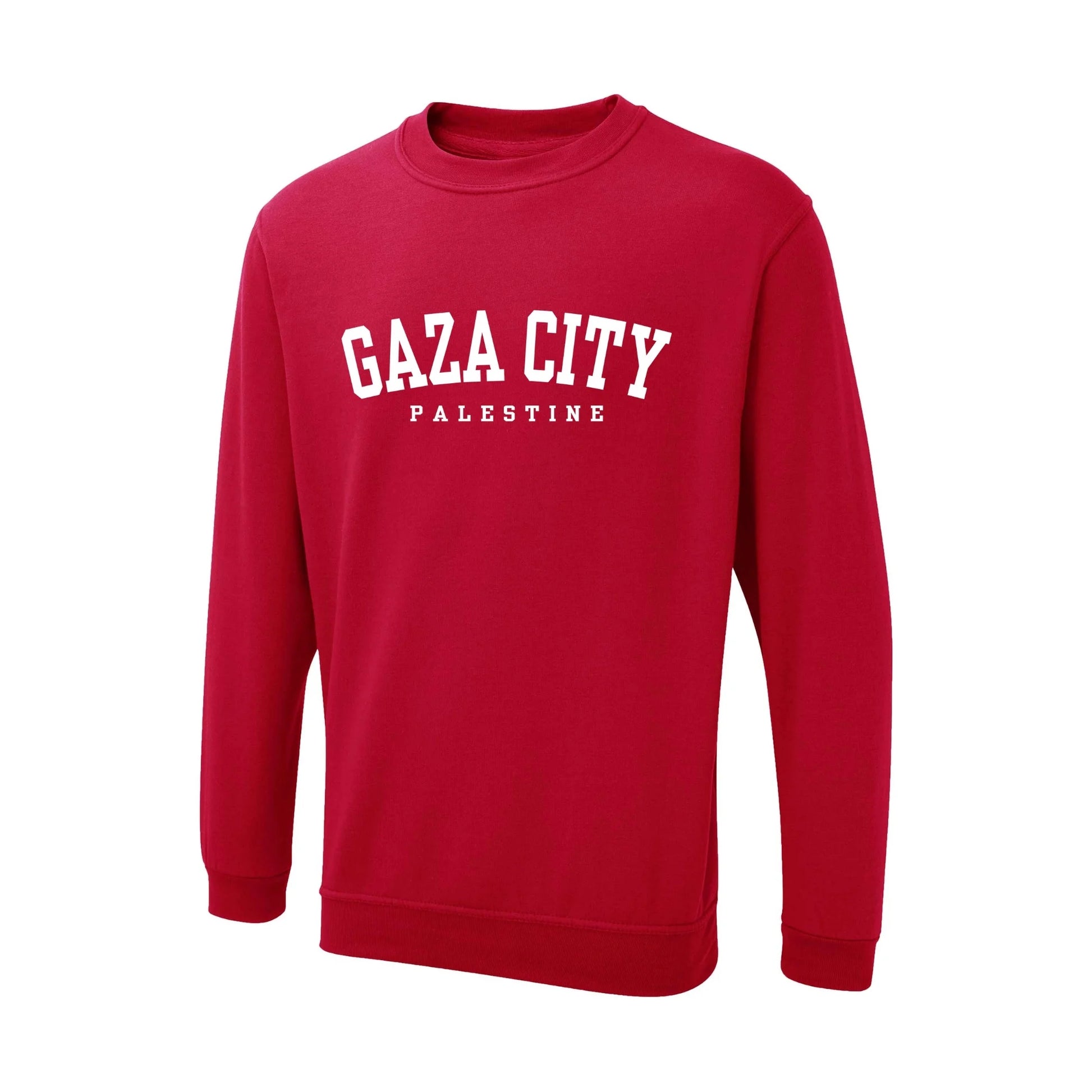 Palestine  Sweatshirt PW1013