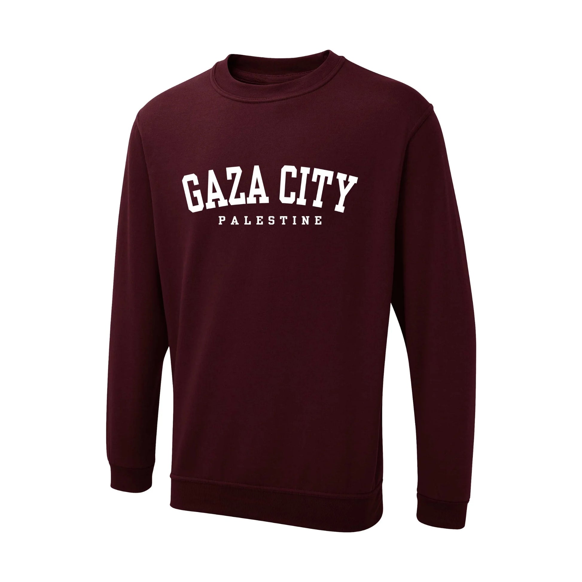 Palestine  Sweatshirt PW1013