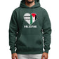 Palestine Hoodie – National Emblem Artwork, Sign of Strength and Hope