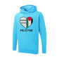 Palestine Hoodie – National Emblem Artwork, Sign of Strength and Hope