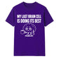 Sarcastic My Last Brain Cell Funny Slogan Unisex T-Shirt