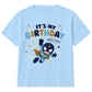 Superhero It's My Birthday Kids Birthday T Shirt Funny Birthday Outfit Kids Tee