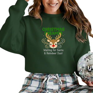 Christmas Dreamer Sweatshirt  - PW210