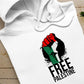 Palestine Hoodie, Palestine Fist Flag Printed Hoody, Palestine Clothing, Adult Sizes Hooded Sweatshirts