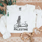 Palestine Keffiyeh Map Jumper, Embroidered Palestine Arabic Calligraphy Name Sweater, Palestine Shirt, Adult Size XS-4XL
