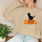 Halloween Crewneck Sweater, Cat on Pumpkins Halloween Sweatshirt, Black Cat Sweatshirt, Unisex Jumpers, Spooky Season Tops, Halloween Gifts