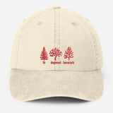 Embroidered Subtle FDT Dad Hat, Anti Trump Pigment Dyed Hat, Impeach President Dad Hat, Fir Dogwood Tamarack Trees Hat, Gift for Democrats